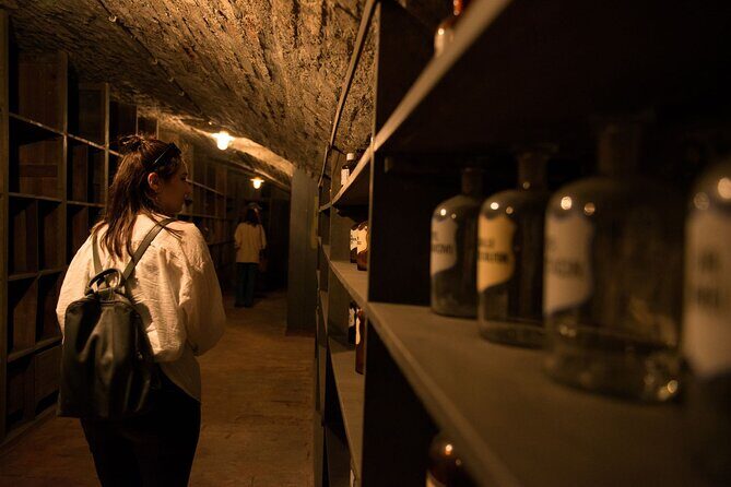 Vienna Underground Guided Walking Tour - Meeting at Mölker Steig and How the Tour Flows