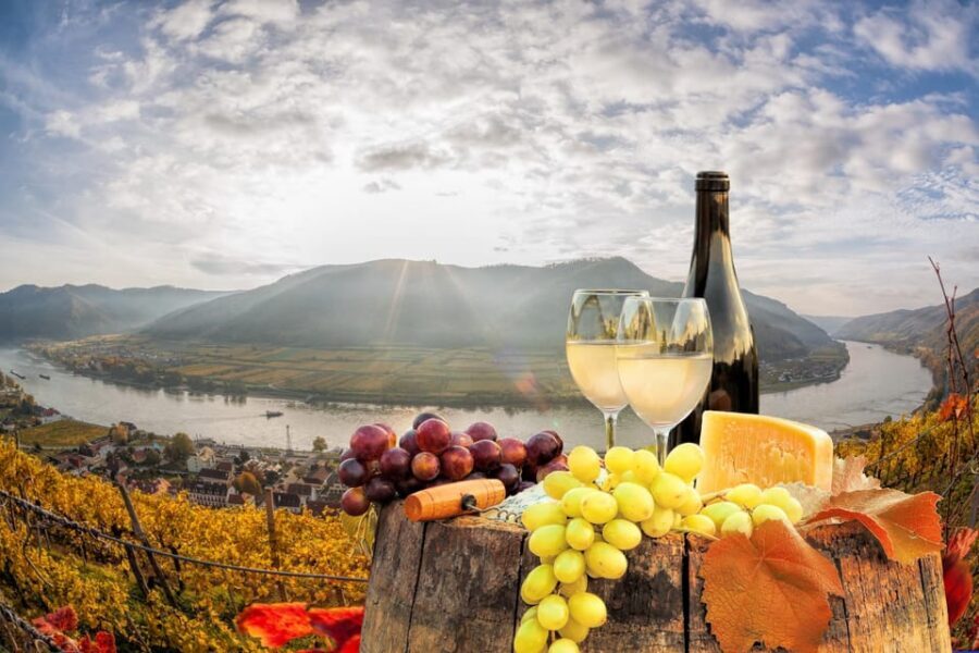 Vienna: Vienna Woods Tour with Underground Lake and Wine - Who should book this tour (and who should skip it)