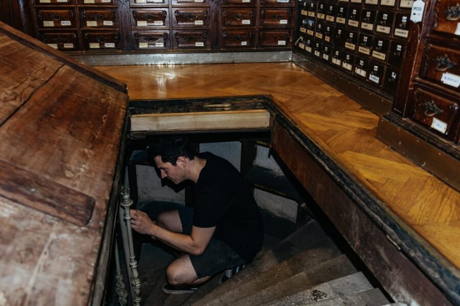 Vienna: Viennese Underworld Guided Walking Tour - Key Highlights You Can Actually Use