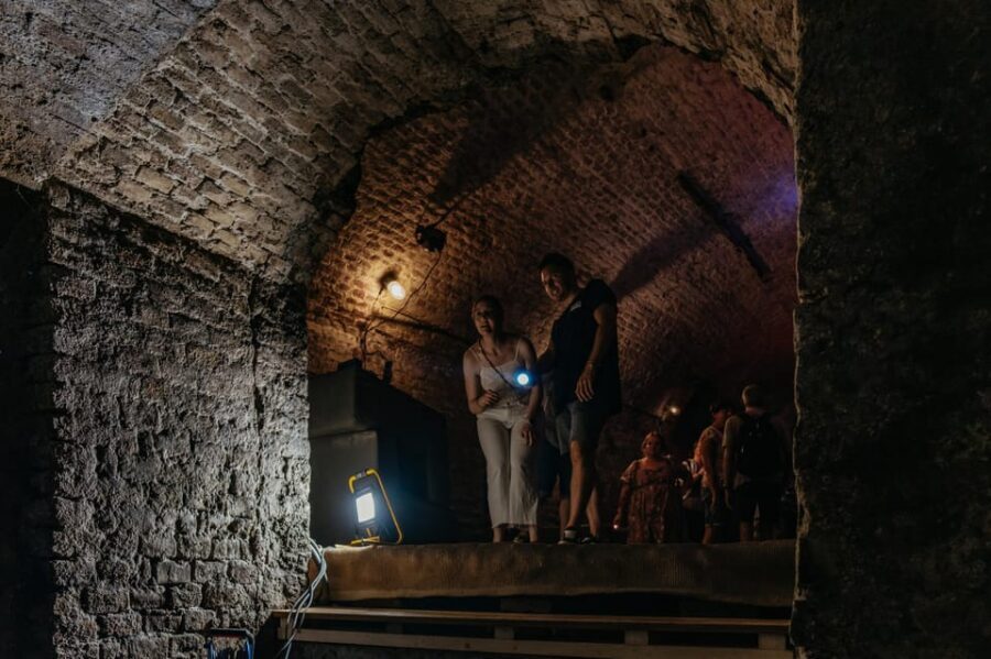Vienna: Viennese Underworld Guided Walking Tour - What to Bring: Flashlight, Phone Audio, and Shoes You Won’t Regret