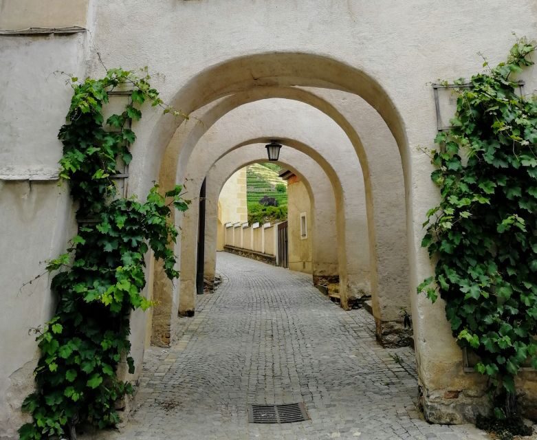 Vienna: Wachau Valley Private Kayak and Wine Tour - Dürnstein Free Time: Castle Ruins, Village Walking, and Richard Lionheart