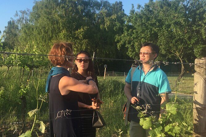 Vienna Wine Experience - The vineyards around Grinzing and Kahlenberg: why the view is the payoff