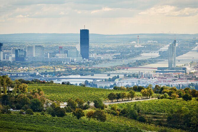 Vienna Wine Experience - Who this is best for (and who should skip it)