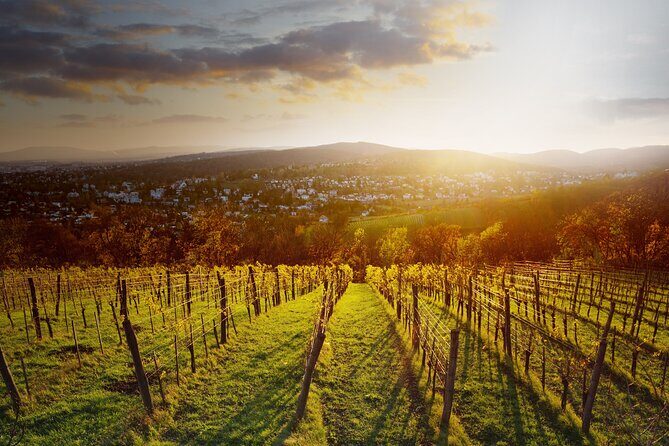 Vienna Wine Experience - Should you book the Vienna Wine Experience?