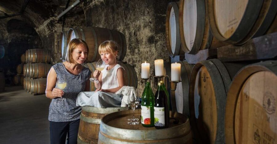 Vienna: Wine Tasting E-Bike Tour - From Vienna landmarks to Danube Canal: the ride starts fast