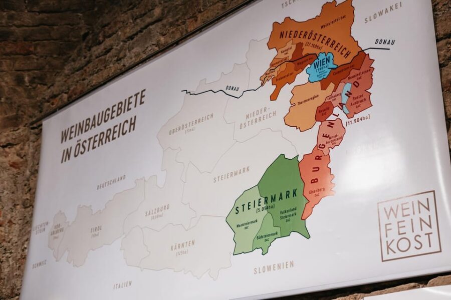 Vienna: Wine Tasting Experience in a Private Wine Cellar - Price and value: what $22 buys you in central Vienna