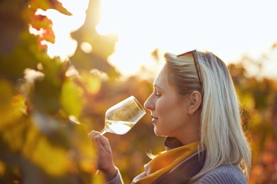 Vienna: Winery and Wine Tasting Tour with a Wine Expert - Vienna’s city-limit vineyards, and why your tasting feels more specific