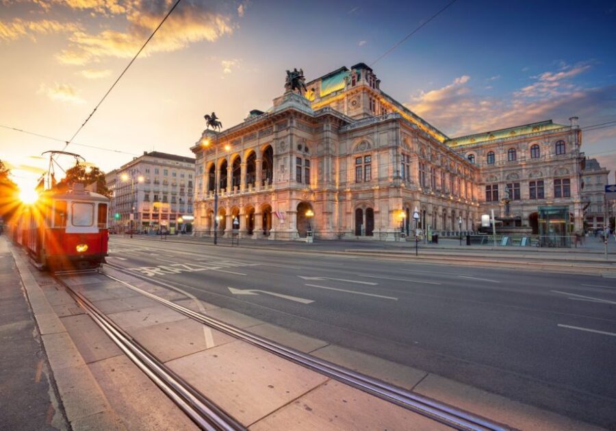 Vienna: Winery and Wine Tasting Tour with a Wine Expert - What you learn from the wine expert before your first sip