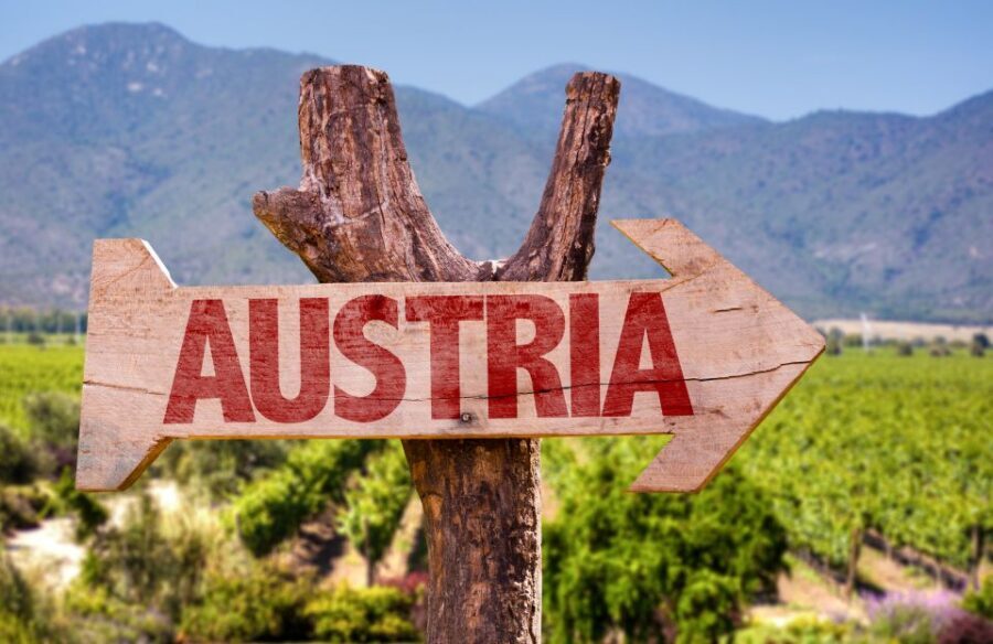 Vienna: Winery and Wine Tasting Tour with a Wine Expert - Old Town landmarks you’ll pass while sipping and learning