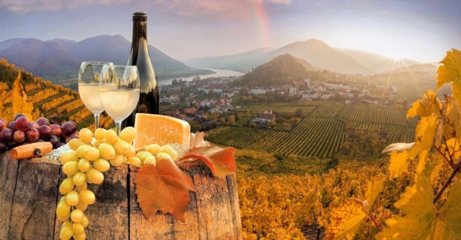 Vienna: Winery and Wine Tasting Tour with a Wine Expert - Two tour lengths: 2-hour tasting vs 3-hour Old Town pairings