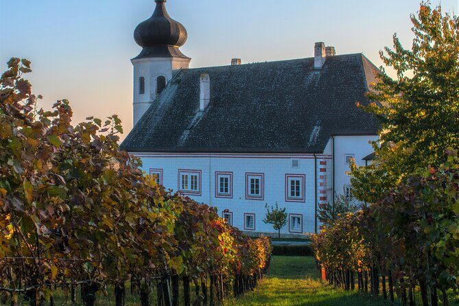 Vienna Woods Wine Tour - Wines, Vines & Good Times! - Price and value: what $191.02 includes (and why it can work)