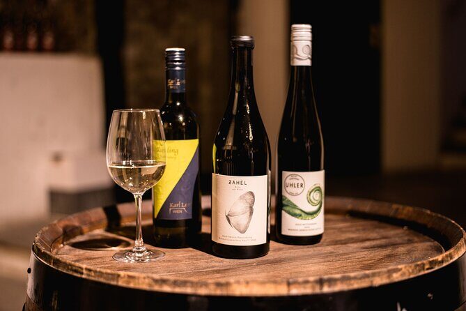 Viennese Wine Tasting in a Private Hidden Wine Cellar - Key things to know before you go