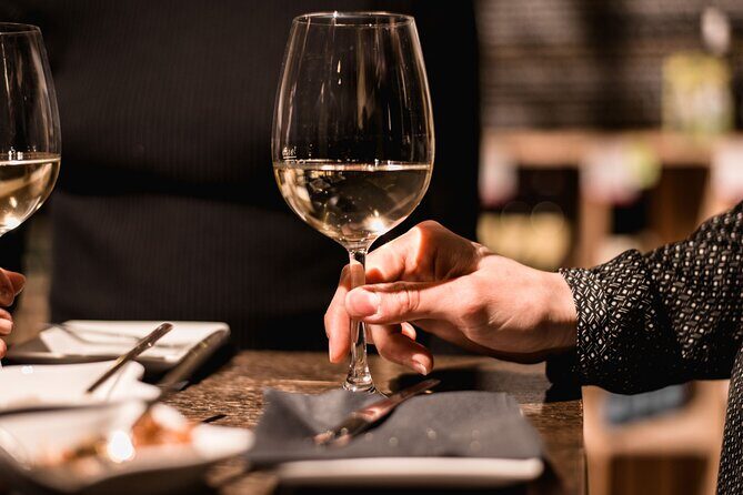 Viennese Wine Tasting in a Private Hidden Wine Cellar - Practical tips: English, audio guide, getting there, and what to bring