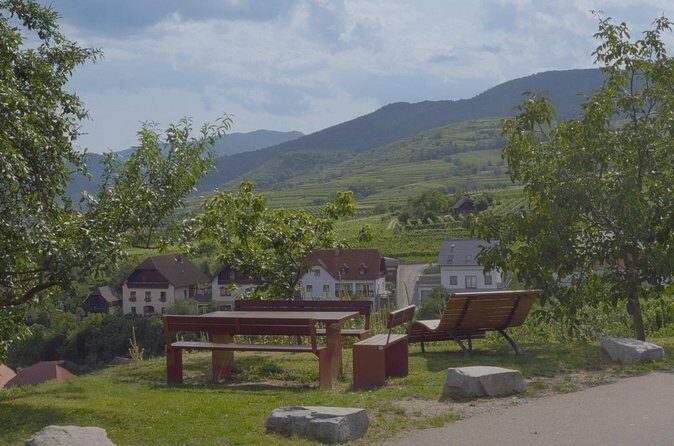 Wachau Discovery Tour - Wehrkirche St. Michael and Spitz: where the religious stop isn’t just a stop