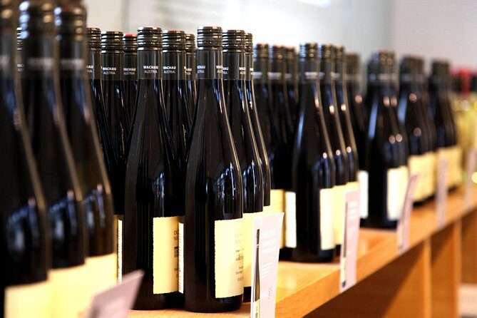 Wachau Valley Wine Tasting Bike Tour from Vienna - Cycling the River: 15–16 Miles That Still Feel Like a Journey