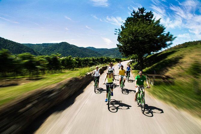 Wachau Valley Wine Tasting Bike Tour from Vienna - Dürnstein Free Time: Fortress Ruins or Danube Beach Time