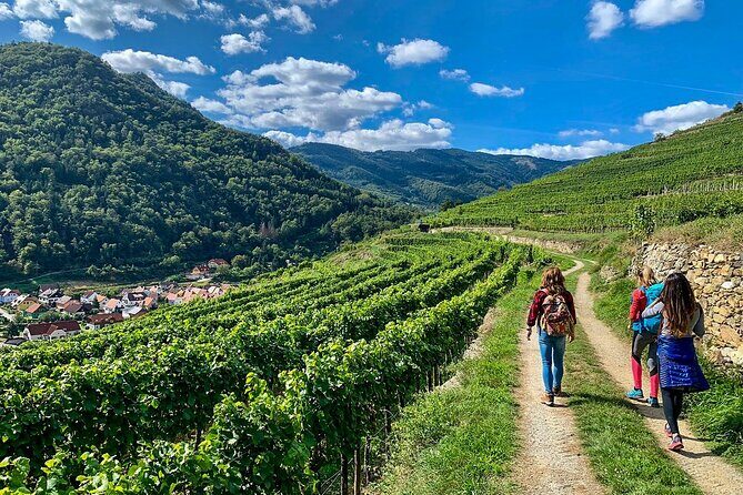 Wachau World Heritage Hike - Karin’s guiding style: small group, off-path choices, and calm pacing