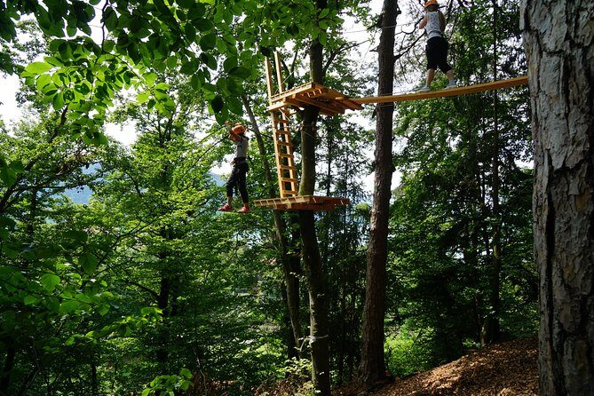 Waldseilpark Wörthersee - Price and Time: Is About $26 Worth 2 Hours Up in the Trees?