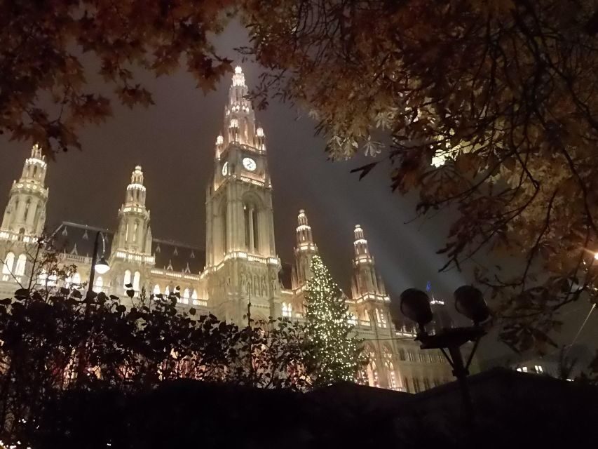 Wien: Tour with locals on the trails of the Christmas Tree - Key highlights you’ll actually notice