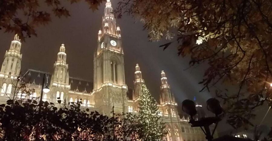 Wien: Tour with locals on the trails of the Christmas Tree - Entering the trail at Anker Clock: where the night starts