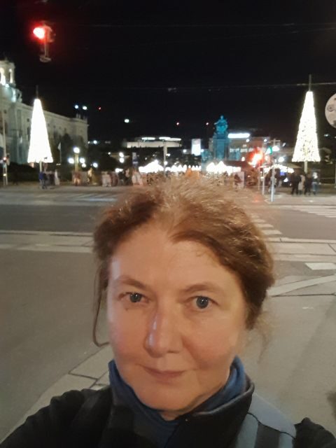 Wien: Tour with locals on the trails of the Christmas Tree - Advent markets at the end: punch, browsing, and timing your snacks