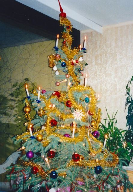 Wien: Tour with locals on the trails of the Christmas Tree - Who should book this Christmas tree trails tour