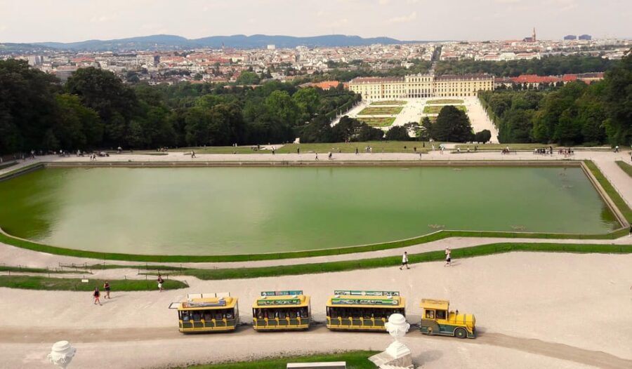 Wien: Tours with locals by public transport & walking - Vienna’s tram and subway skills: the real souvenir